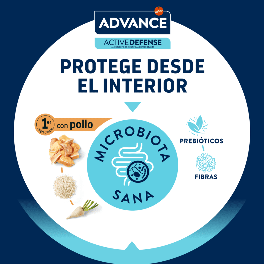 10 kg Advance Pollo y Arroz pienso para gatitos, , large Imagen numero 7